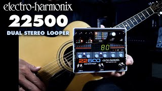 ElectroHarmonix 22500 Dual Stereo Looper Pedal Demo by Bill Ruppert [upl. by Jaime]