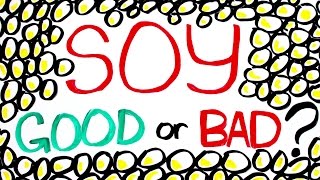 Is Soy Bad For You [upl. by Alat]