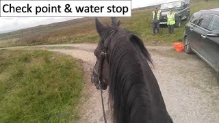 Check point and water stop for the horses😁 [upl. by Cecilius771]