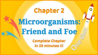 Microorganisms Friend and Foe full lesson  Biology  Class 8  CBSE Syllabus [upl. by Tsepmet]