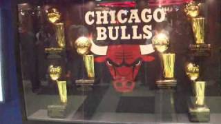 CHICAGO BULLS TROPHIES [upl. by Naimad510]