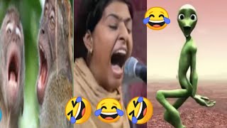 Noran Sisters  Noran Sisters Funny Video  Noran Sisters Donkey funny Video  Funny Video 2023 [upl. by Kendall]