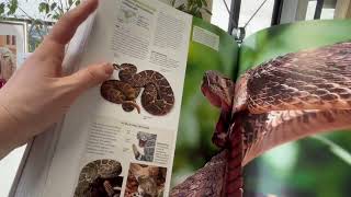 ANIMAL The Definitive Visual Guide New Edition by DAVID BURNIE [upl. by Aimet]