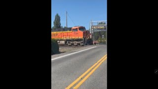 BNSF Heritage  CSX trains railroad railfans train trainspotting bnsftrains csxtrains shorts [upl. by Aiuhsoj]