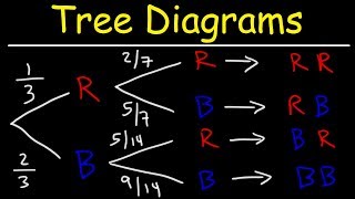 Probability Tree Diagrams [upl. by Spindell291]