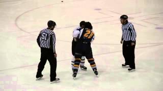 Two hockey players fight until something unexpected happens [upl. by Retluoc428]