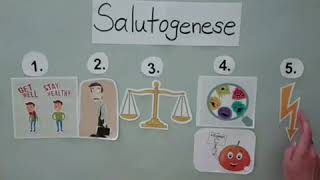 Das SALUTOGENESE MODELL Legefilm [upl. by Keryt]