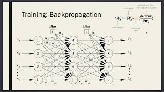 EE545 Week 6 More on Quantization and Quantization Aware Training Part V [upl. by Debor]