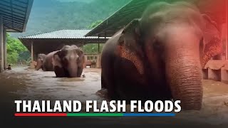 Thai sanctuary struggles to save elephants after flash floods  ABSCBN News [upl. by Odravde]