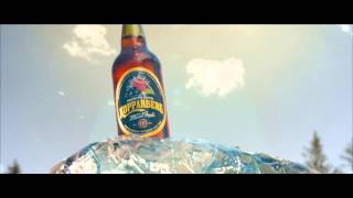 Kopparberg  Summer Happens Here [upl. by Lewendal59]