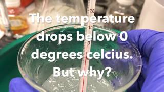 A demonstration of Colligative Properties [upl. by Neitsabes]