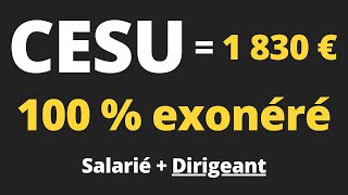 Comment mettre en place le CESU  Obligations et avantages fiscaux [upl. by Serafina]