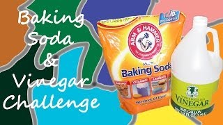 The Baking Soda amp Vinegar Challenge [upl. by Rhea]