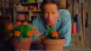 April 2002 WLS local commercials part 9 [upl. by Theurich]