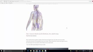 Introduction to the Biodigital Human Labs [upl. by Renata]