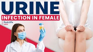 💹Urinary Tract Infection UTI in Women  UTI Symptoms And Treatment  Urine Infection in Females [upl. by Irv]