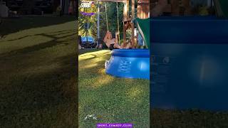 Must Watch Pool amp Surfing Fails 😂  shorts [upl. by Glass]