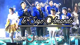 SABOR SABOR  TE SIGO AMANDO en VIVO [upl. by Rajiv]