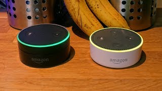 HowTo Alexa Calling Messaging amp DropIn on Amazon Echo [upl. by Olatha]