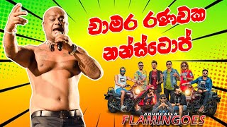 CHAMARA RANAWAKA NEW NONSTOP I චාමර රණවක නන්ස්ටොප් I FLAMINGOES 2024 I flamingoes [upl. by Adieren]