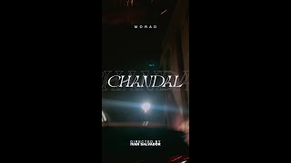 MORAD  CHANDAL VIDEO OFICIAL [upl. by Cyna278]