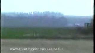 Kippers Bitch Vs The Captain  Pre Ban Hare Coursing [upl. by Carboni594]