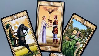 SECRETE DEZVĂLUITE Ce afli Tarot Interactiv [upl. by Yarehs979]