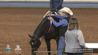 2021 AQHA Junior Hunter Under Saddle [upl. by Iman]