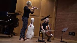 Bach Cello Suite transcr Fute  Steven Isserlis Masterclass  Part 1 [upl. by Omolhs824]