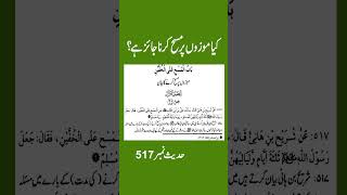 MOZON PAR MASAH KARNA JAIZ HAI 517 Trending Quran Muhammadﷺ Masah [upl. by Giavani]