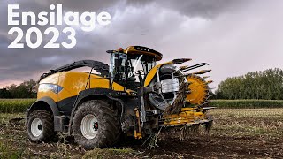 ENSILAGE DE MAÏS 2023  New Holland FR550 [upl. by Gavin960]