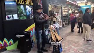 Ecuadorian traditional music pan pipes [upl. by Sherman772]