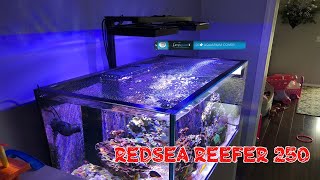 Red Sea Reefer 250  DD Jumpguard PRO DIY Net Screen Aquarium Cover [upl. by Bratton]