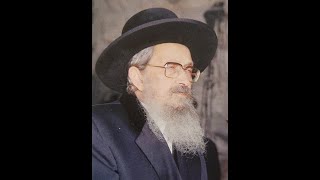 NESIVAS SHALOM UNDERSTANDING YOUR AND YOUR CHILDS ESSENCE [upl. by Ettennad]