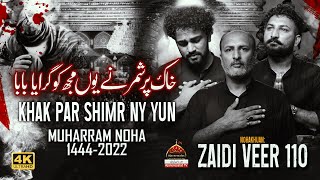 Khak Per Shimer Ne Mujh Ko Giraya Baba  Zaidi Veer 110  Noha Bibi Sakina Sa  Muharram 1444 Nohay [upl. by Llemrej]