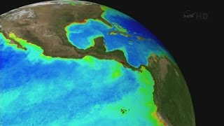 2014 was Earths warmest year since 1880 [upl. by Ainak]