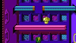 Battletoads NES All Warp Zones [upl. by Elmaleh978]