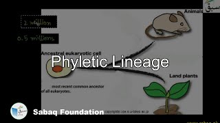 Phyletic Lineage Biology Lecture  Sabaqpk [upl. by Mona]