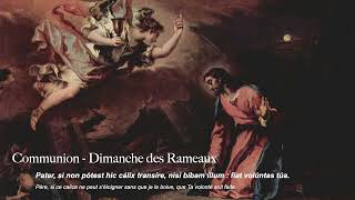 Chant de Communion de la messe des Rameaux [upl. by Sagerman695]