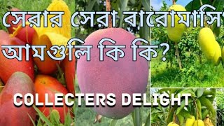 সেরার সেরা বারোমাসি আমallseason mangoছাদ বাগান [upl. by Sotnas]