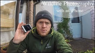 How to Photograph Wildlife with an iPhone  Tips and Tricks [upl. by Arait653]