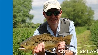 Chalkstream Fly Fishing at Broadlands on the River Test [upl. by Yalhsa115]