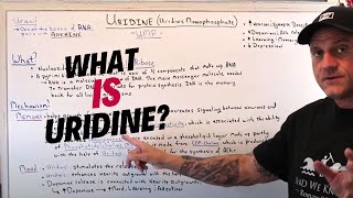 What Is Uridine and The Benefits [upl. by Sklar]