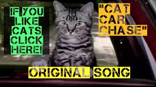 quotCat Car Chasequot ORIGINAL SONG [upl. by Neron]