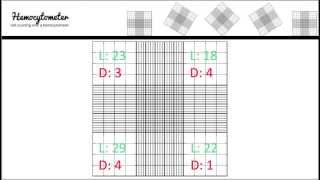 Hemocytometer calculation [upl. by Windzer]