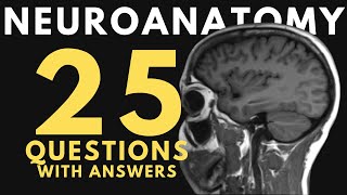 Neuroanatomy practice test 25 questions with answers and explanations [upl. by Eindys]