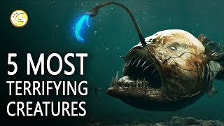 5 Most Terrifying Deep Sea Creatures On Earth [upl. by Camp]