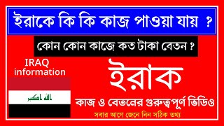 ইরাকে🇮🇶কি কি পাওয়া যায়  কোন কাজে কত টাকা বেতন  iraq Work amp salary information 2024 [upl. by Tonia]