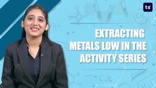 Extracting metals low in the activity series  Chemistry  Reactivity series [upl. by Acireit862]