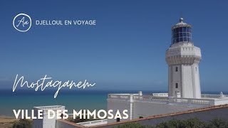 Algérie  découverte  Mostaganem [upl. by Secor]